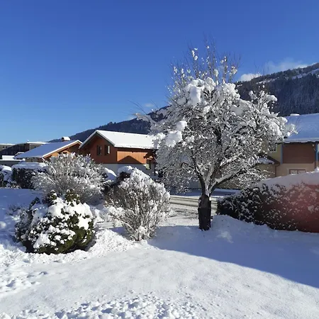 Lejlighed Steiner Schladming