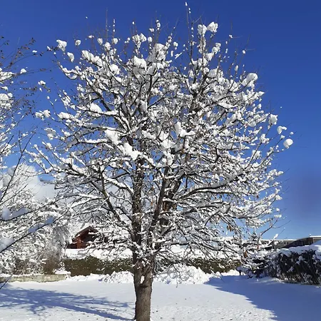 Steiner Appartement Schladming