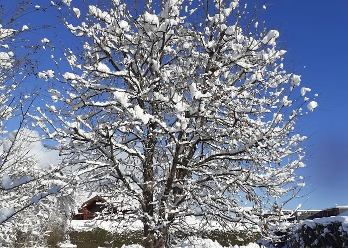 Steiner Apartamento Schladming