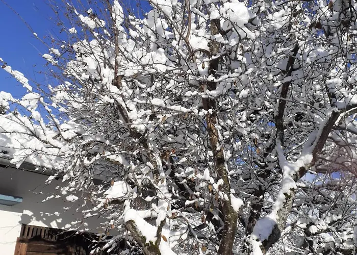 Апартаменти Steiner *