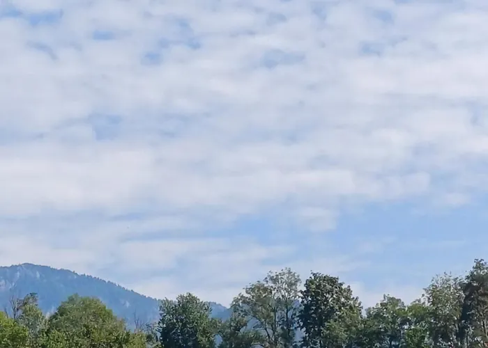 Steiner Apartamento *